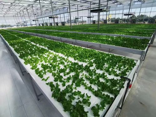 農業區的科技創新之路 農業科學研究與試驗發展