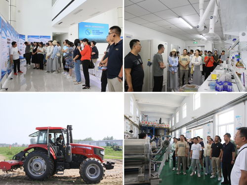 內蒙古農大AI創新教學與科研能力提升培訓班在涿州教學實驗場圓滿收官