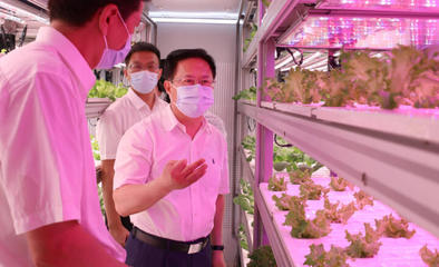 鄭柵潔調研省農科院 強化市場與效率意識，驅動農業科技創新新篇章