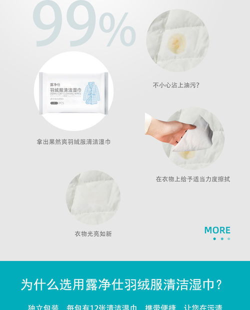 冬季干洗劑 家用免洗去污神器，輕松告別頑固污漬